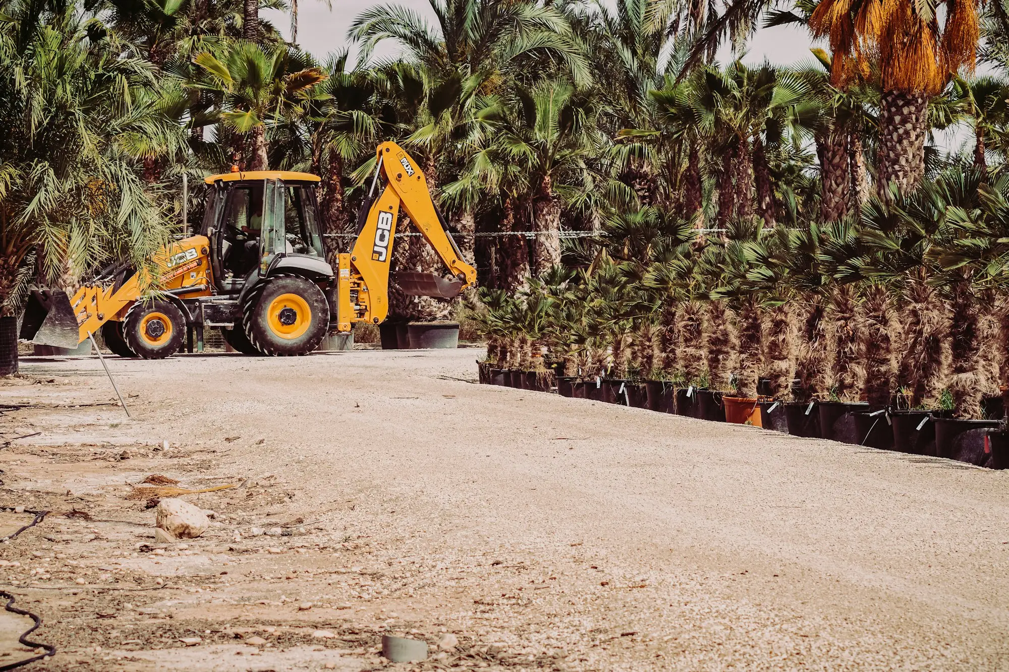 Yellow excavators lined up in an equipment yard on a clear day